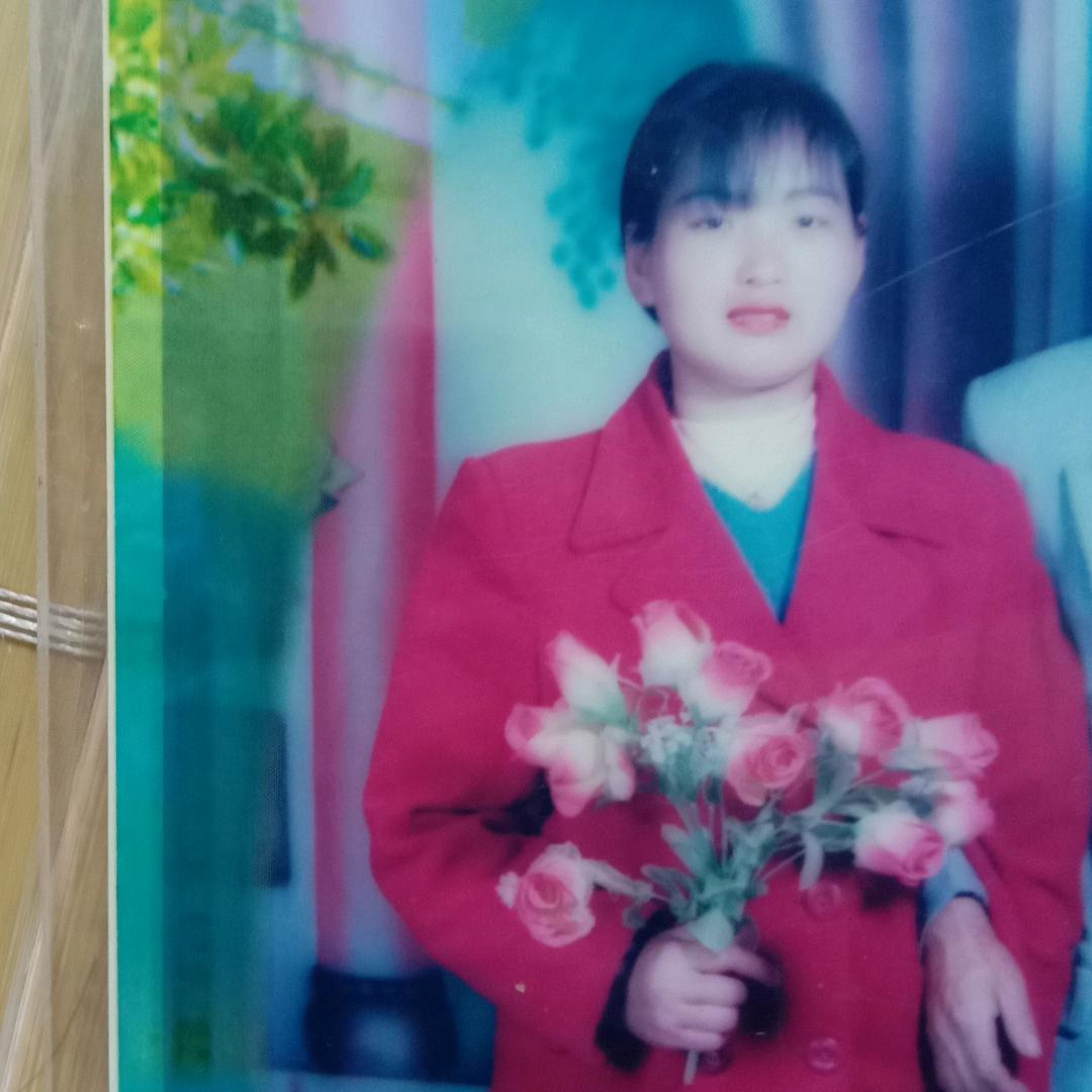 樱花梦🌸🌸🌸🌸