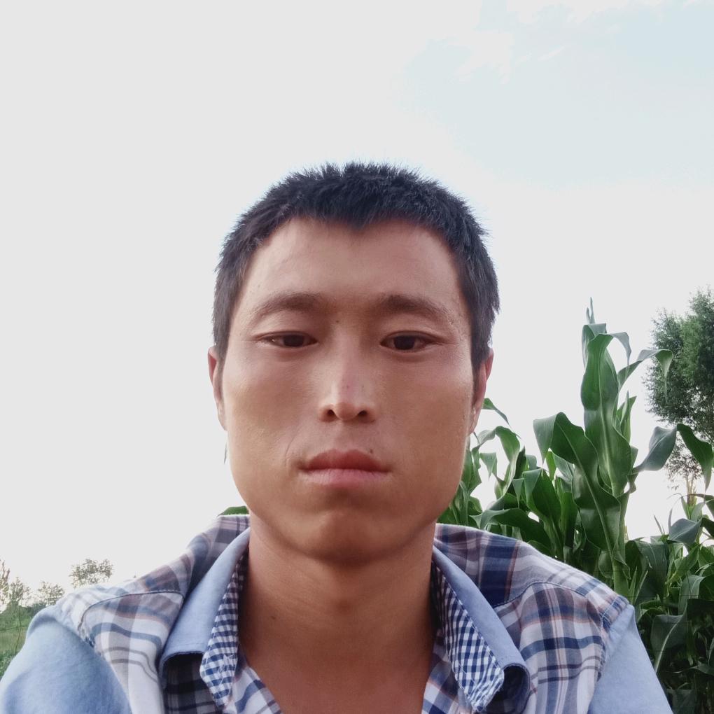 王晓刚