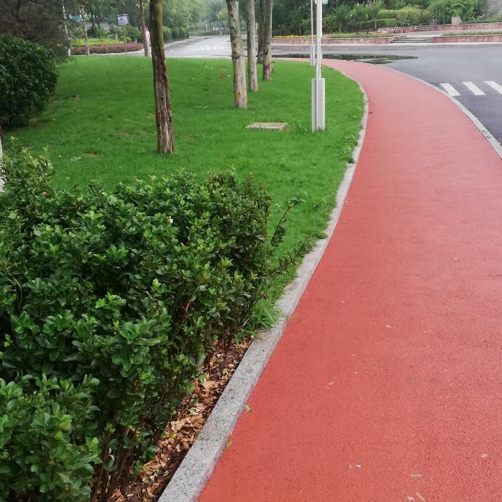阳光总在风雨后有彩虹
