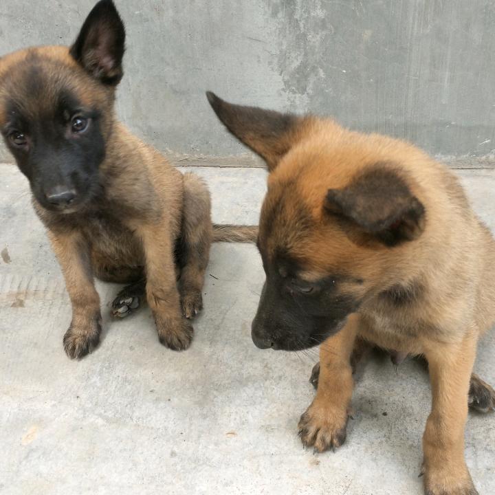 潇洒人生