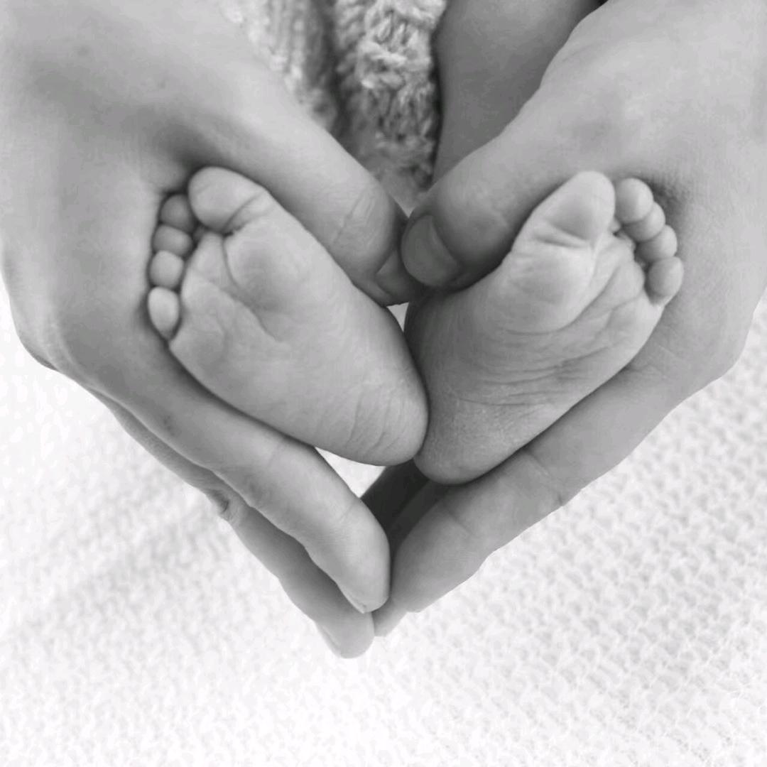 🌸深情不及久伴🌸