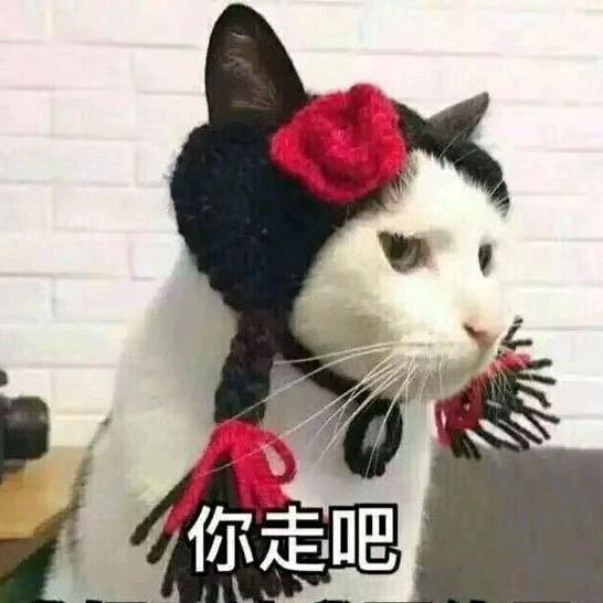 🌈有趣的皮囊🤓