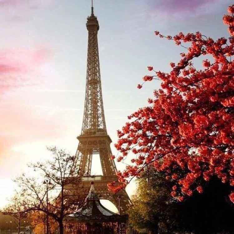 邳州市曹庆房农资经营部