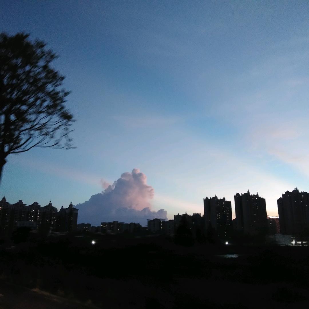 天使小鸟