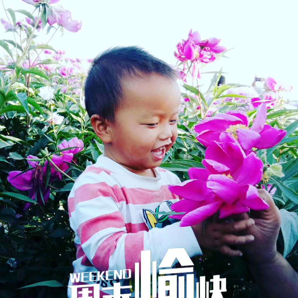 希望明天会更好