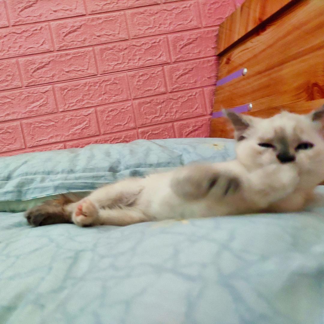 啊巴巴
