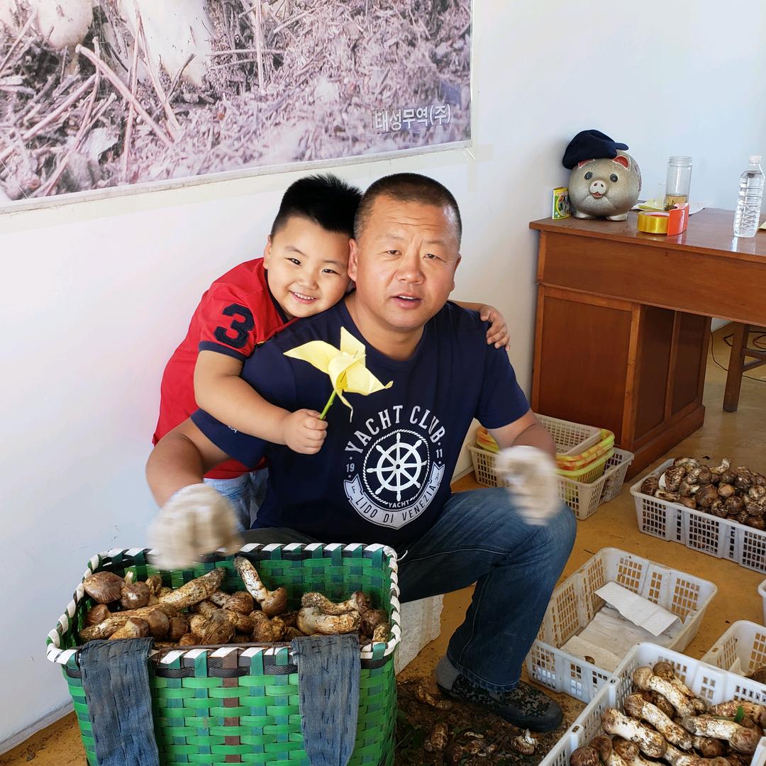 延边林下源参茸