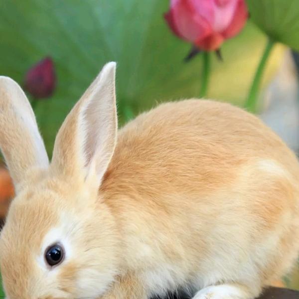 象山丹城竹根雕艺术铺子