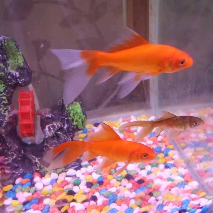 扬帆起航🇨🇳