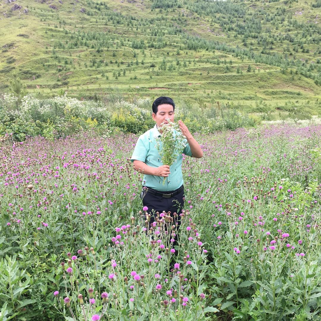 诡异的麒麟（袜族馆）