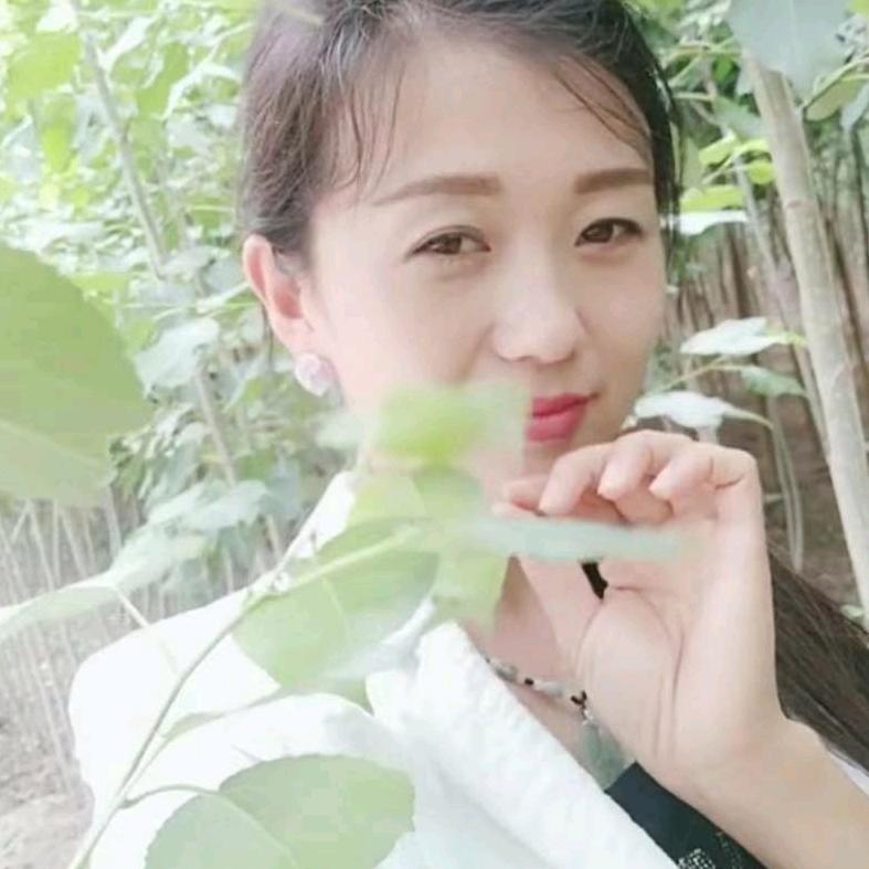河南小妹