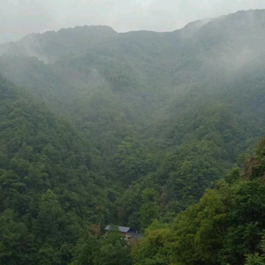 ☞龙哥☜