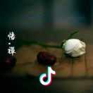 洋葱