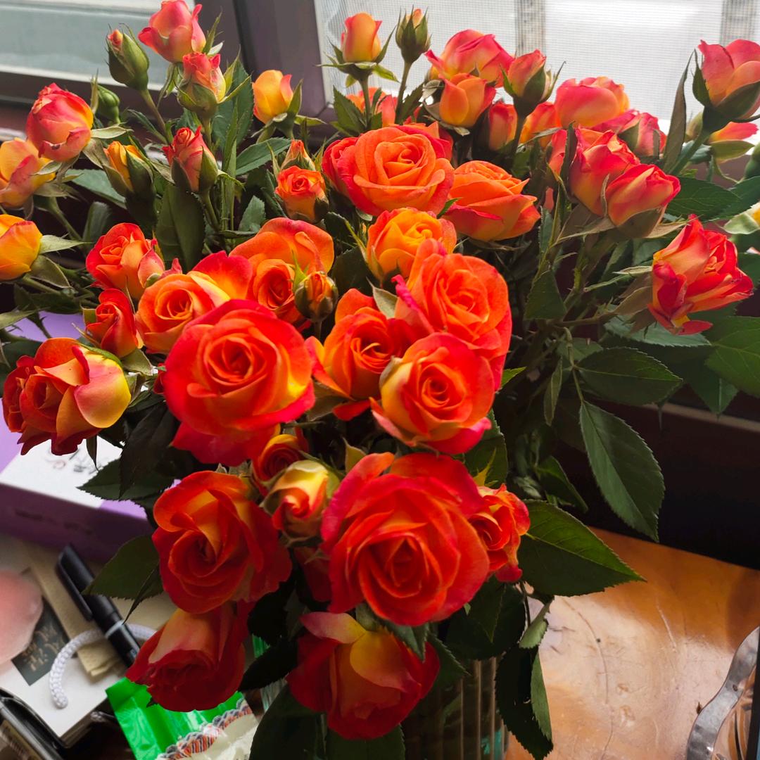抽烟看花
