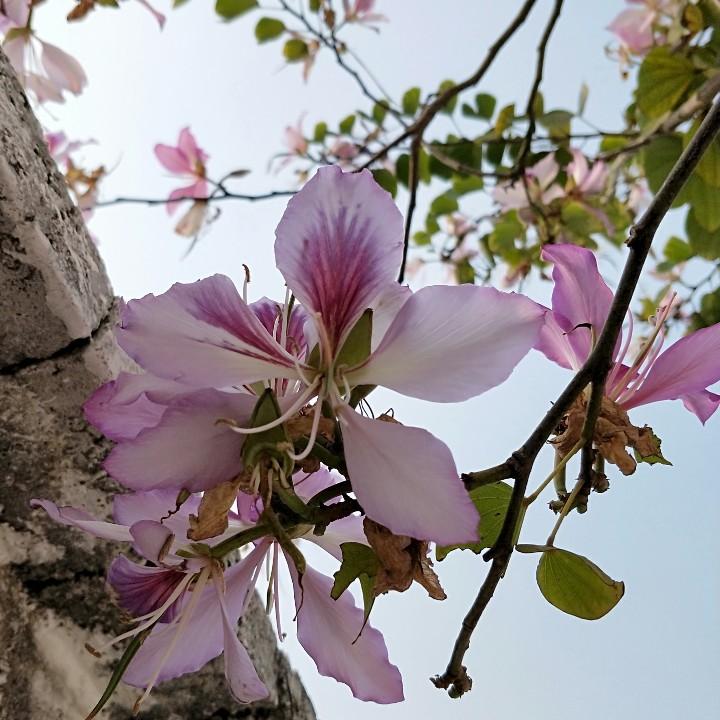 那年🌺开