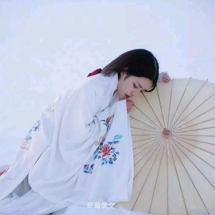 彼岸花开-74🐯🐯