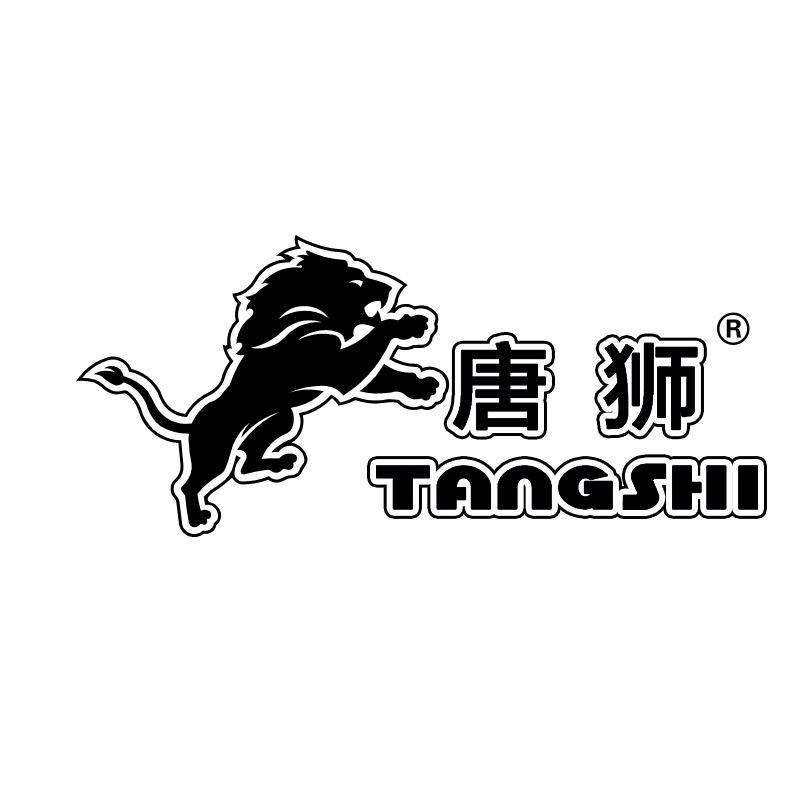 唐狮电锅炉