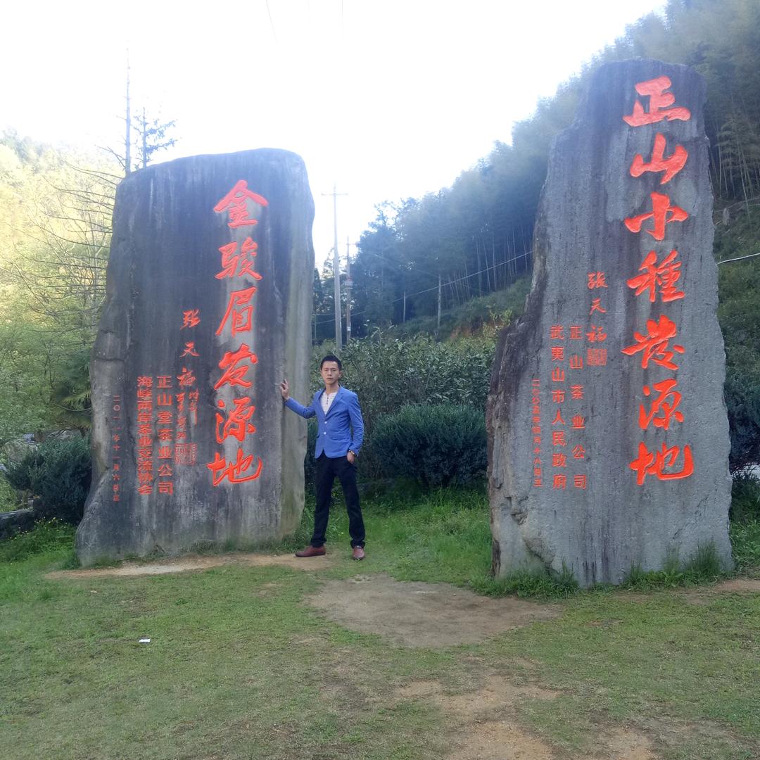 福和茶业(茶叶,茶具,茶盘)