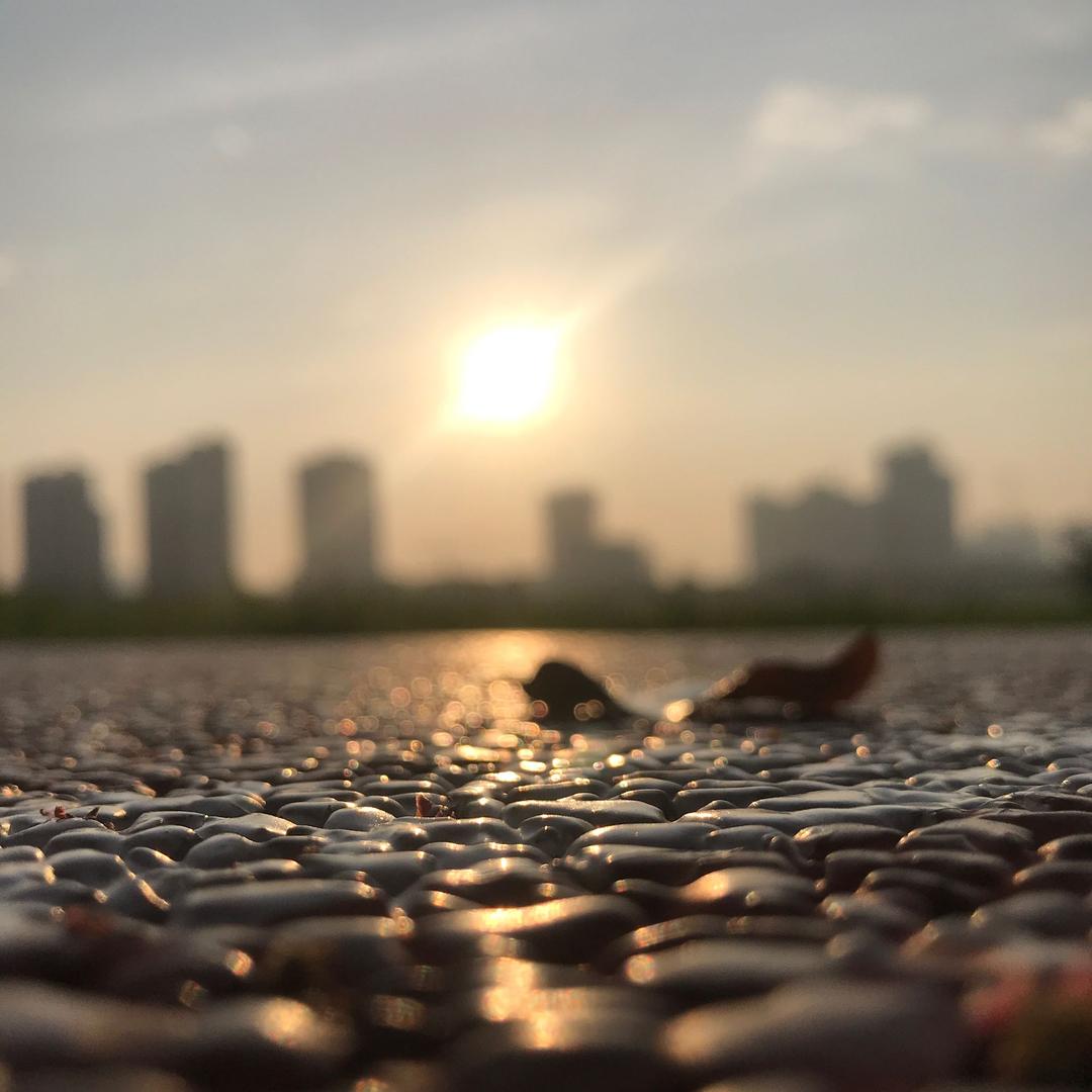 活不明白的陈先生