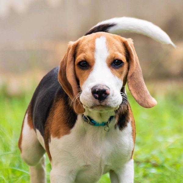 往后的余生就是你