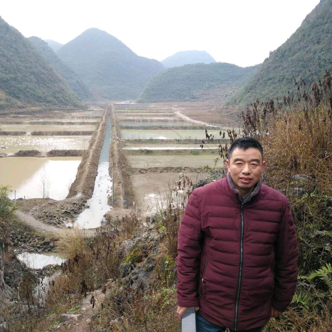 林丽骑驴收钨钢