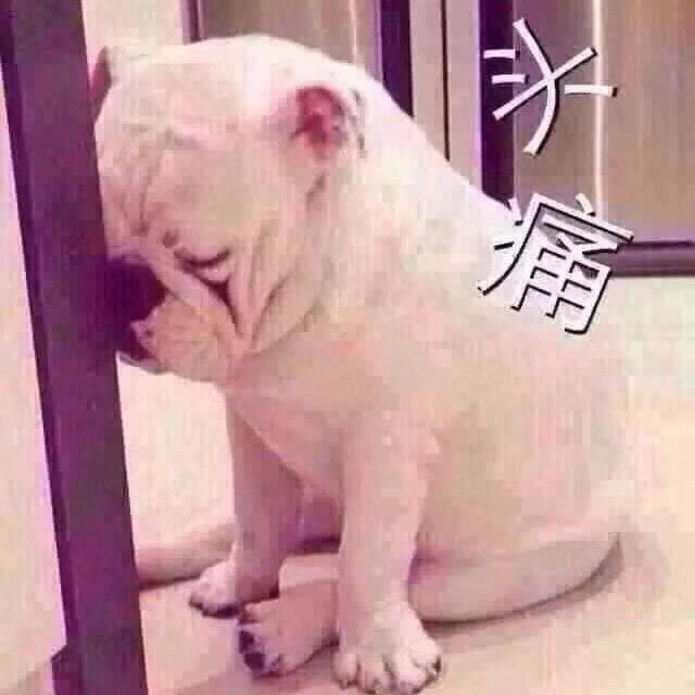 小蝎子没自由