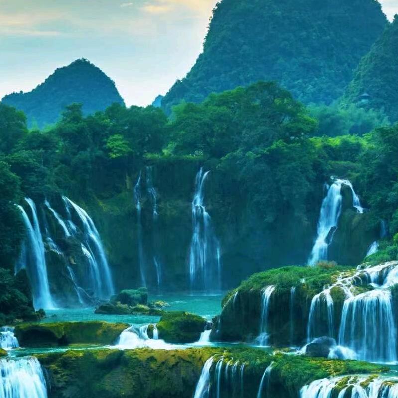 台铃电动车(京广线店)