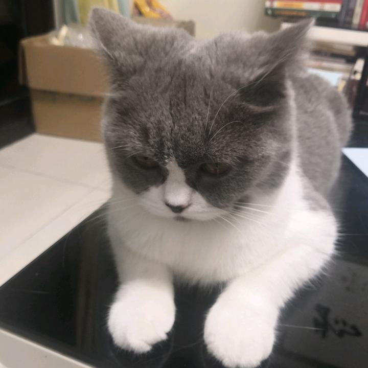 假如能穿越