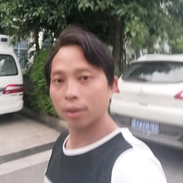 胡师发动机