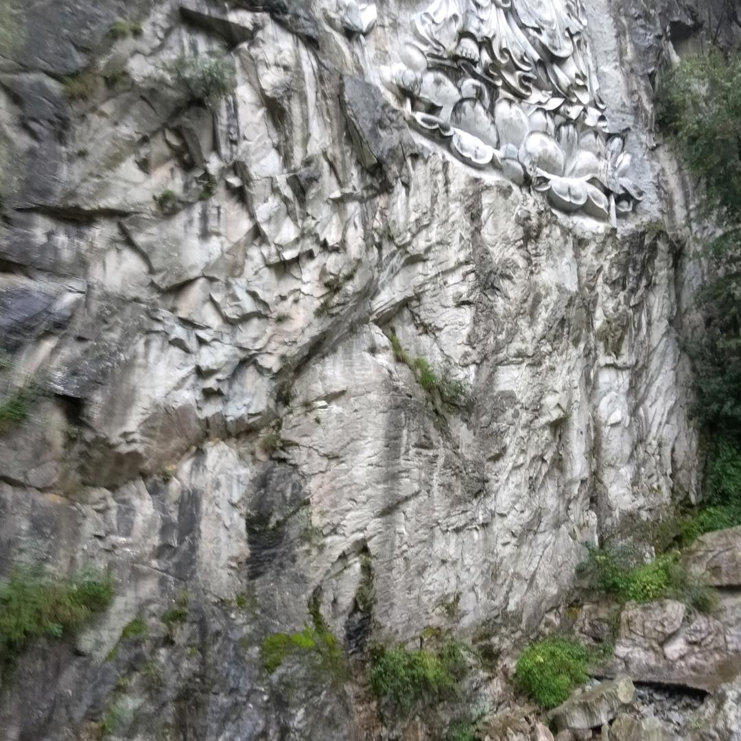 风吹麦浪