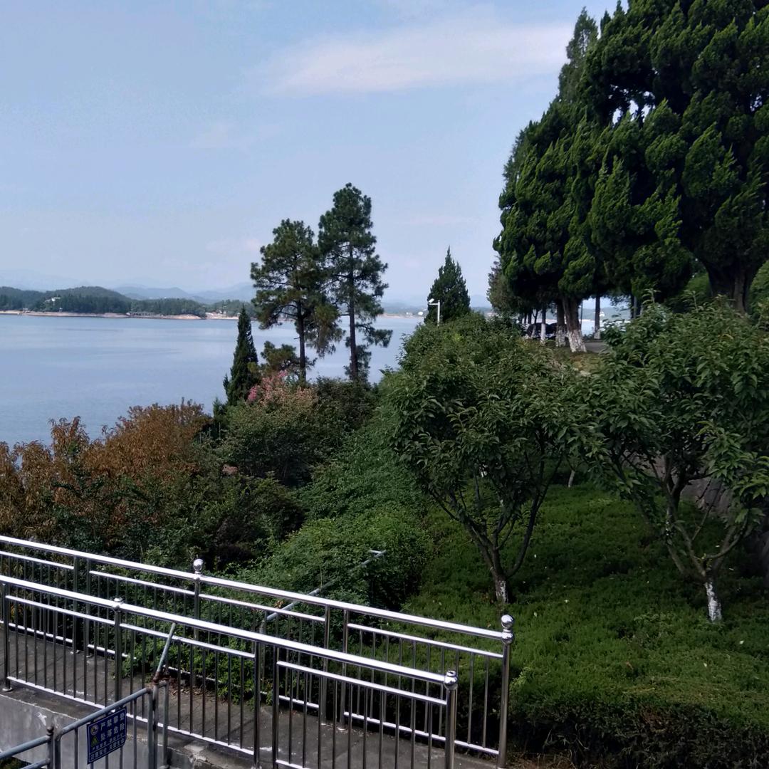 黄柱