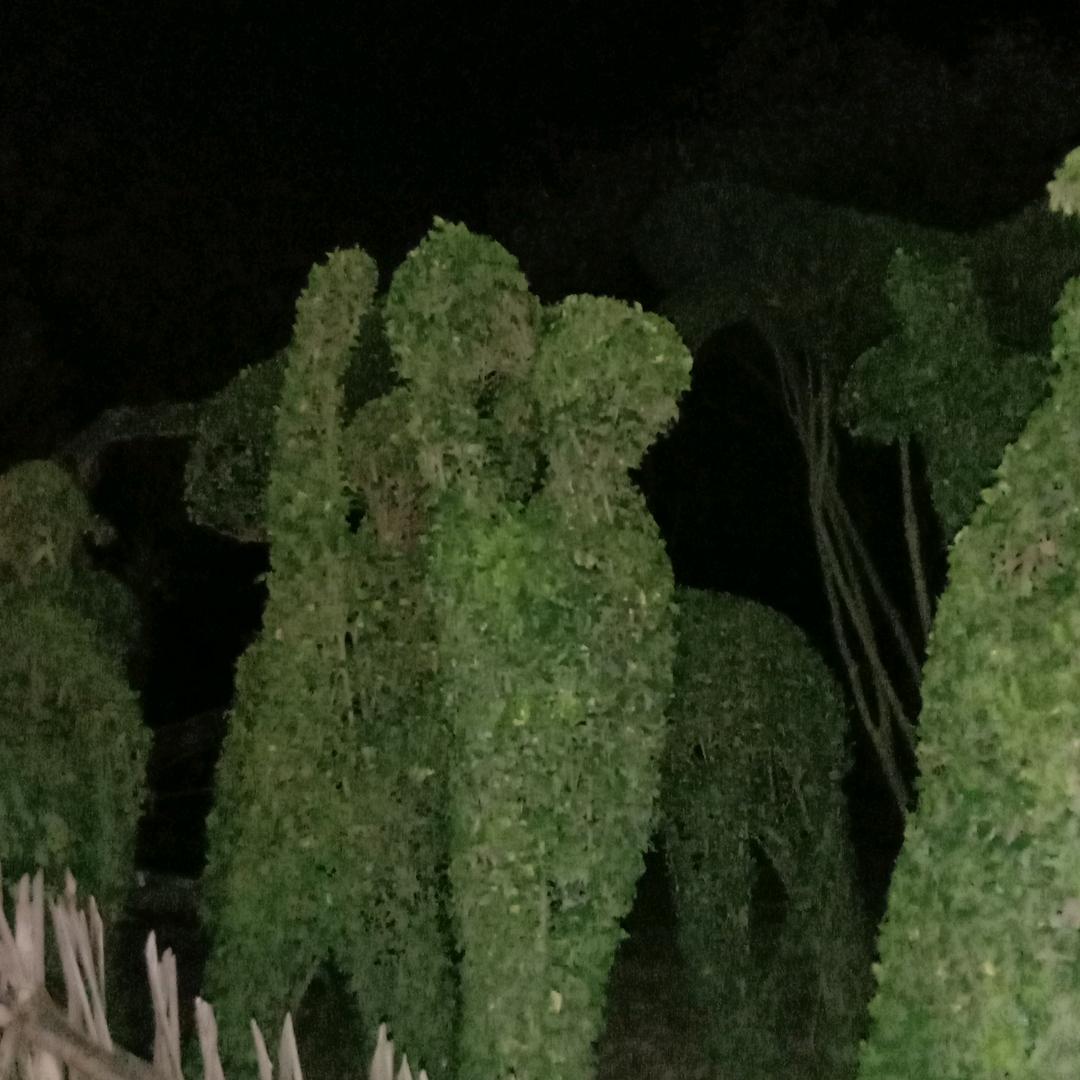 没说要在乎你