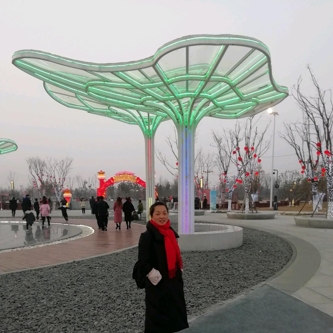 西安绿诺智品厂