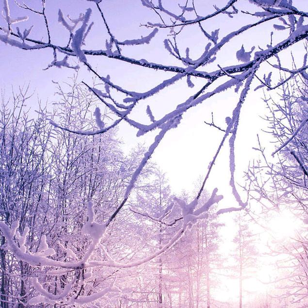 飘雪