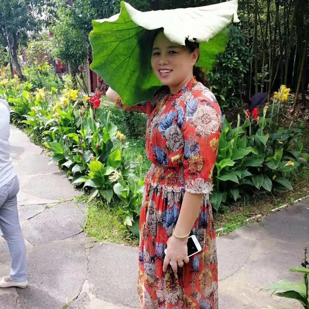 凤舞香香