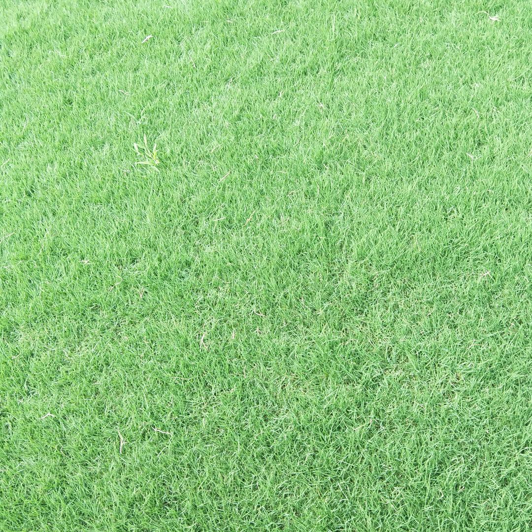 为了明天加油呀！！