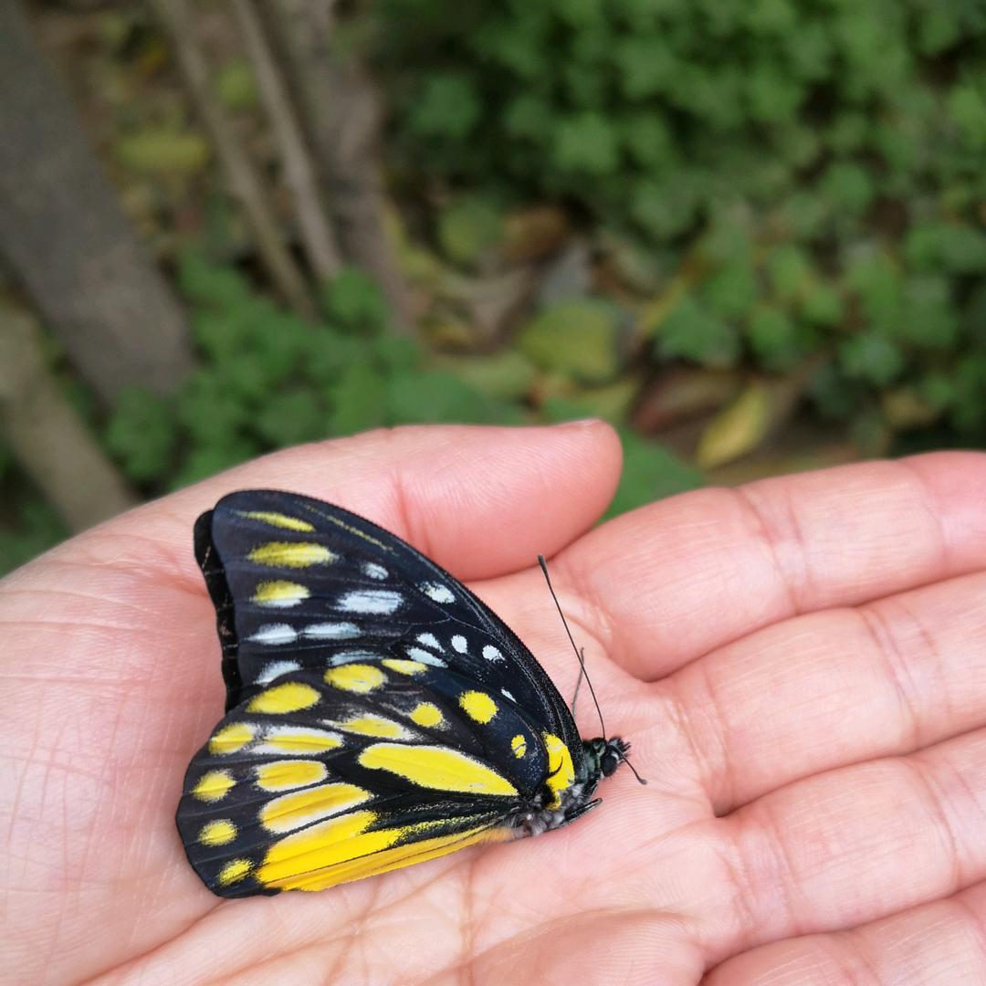 人生如戏全凭演技