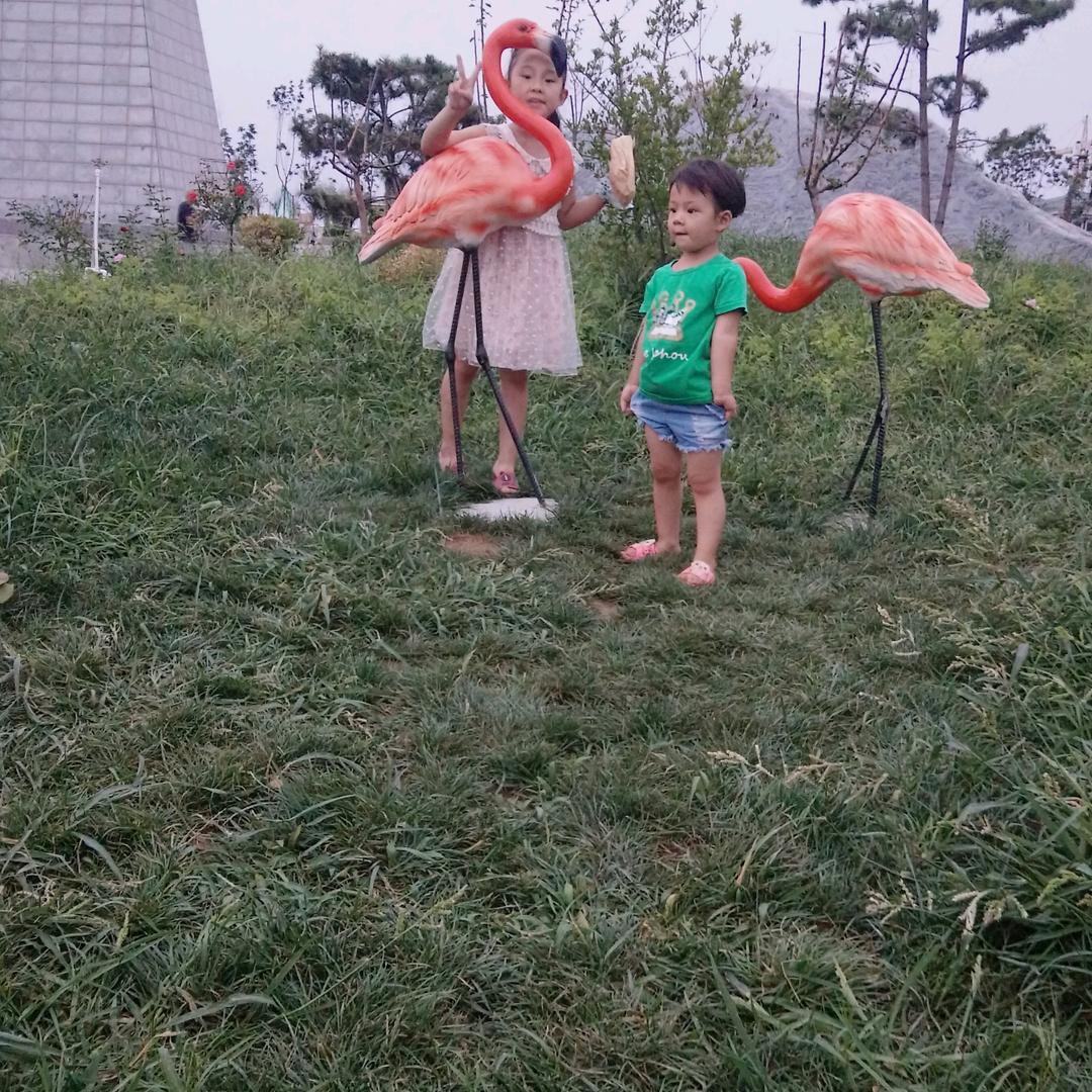 晗~果