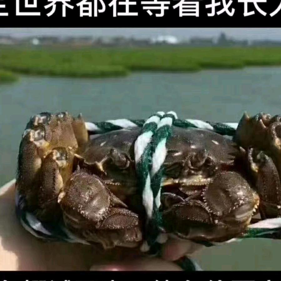 杨记蟹塘