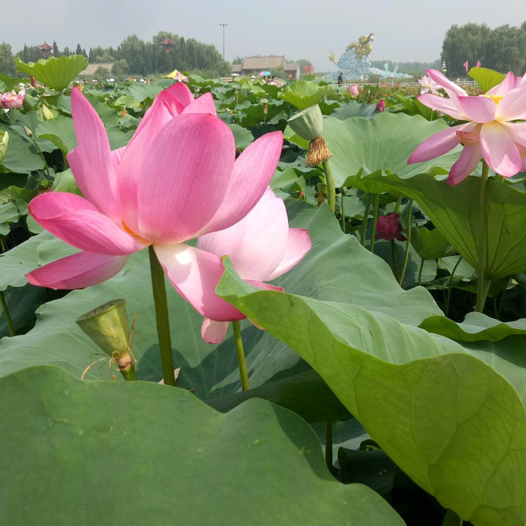 简单快乐