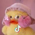 yuanjie