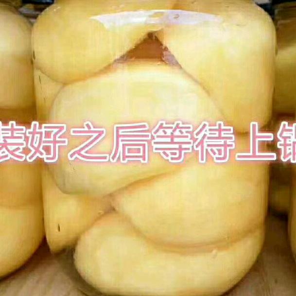 张宗哲