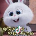 ꧁二胖༻꧂