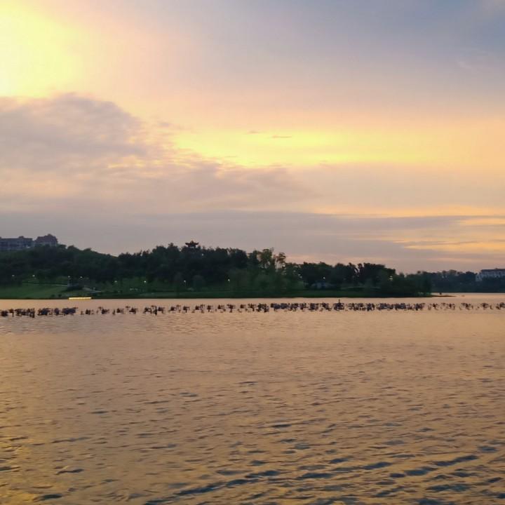 路安顺汽车运输有限公司