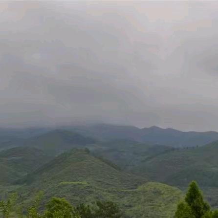 爱如雪💏心如悦