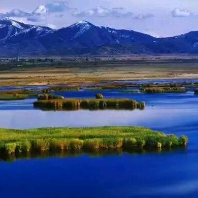 9座之39座车出租  出售