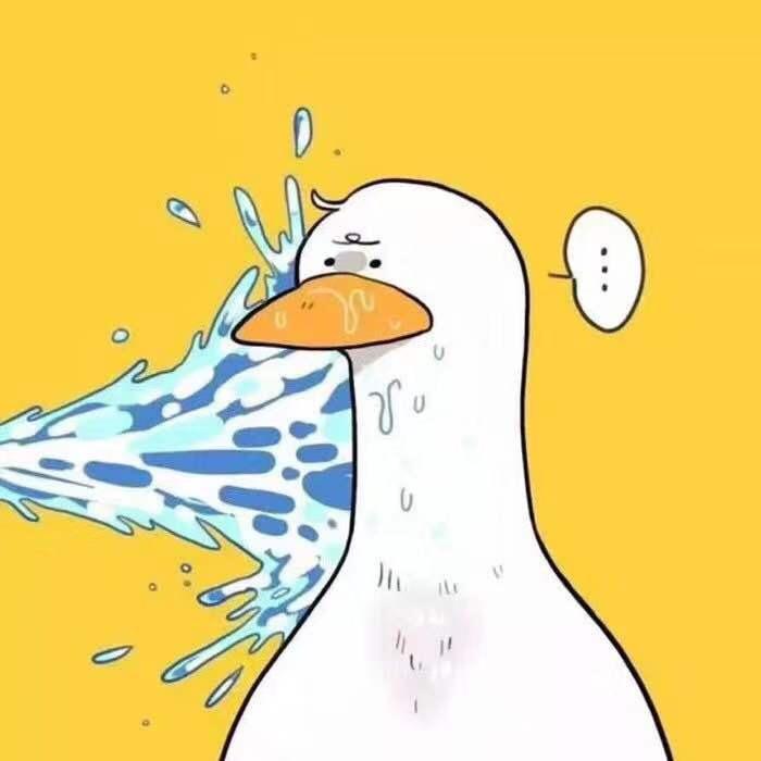 我是丑小鸭