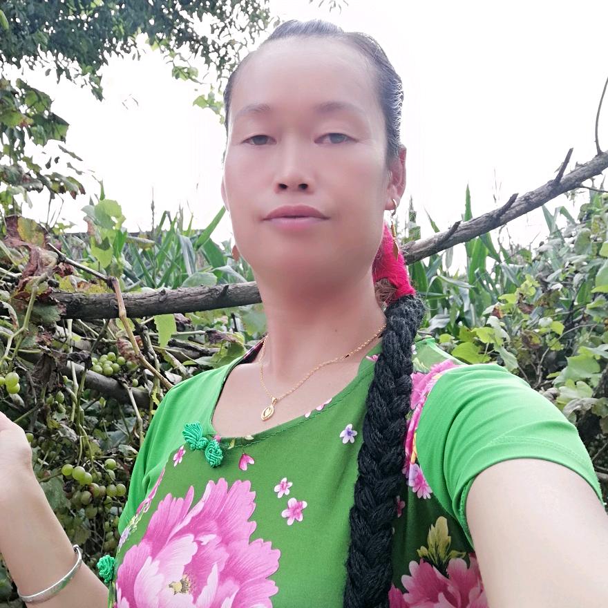 西河开心乐队