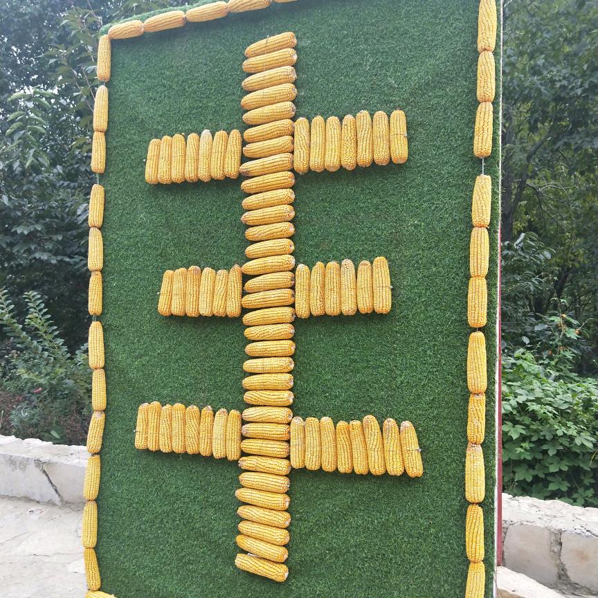 临汾唯一