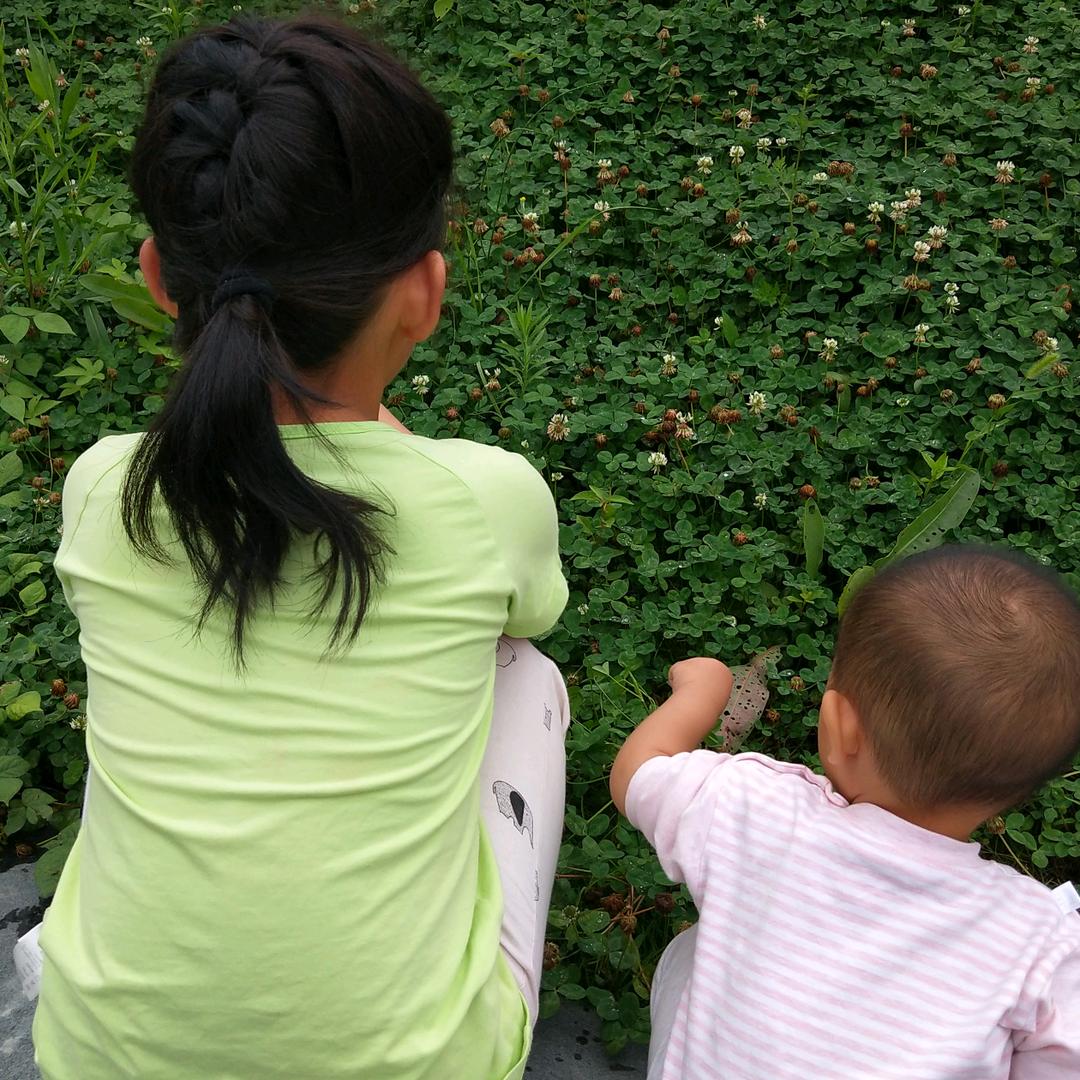 小俩子家乡特产